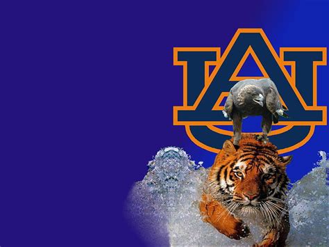 auburn football wiki|auburn football website.